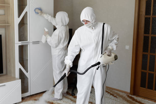 24/7 Emergency Odor Removal experts in Fenton, MI
